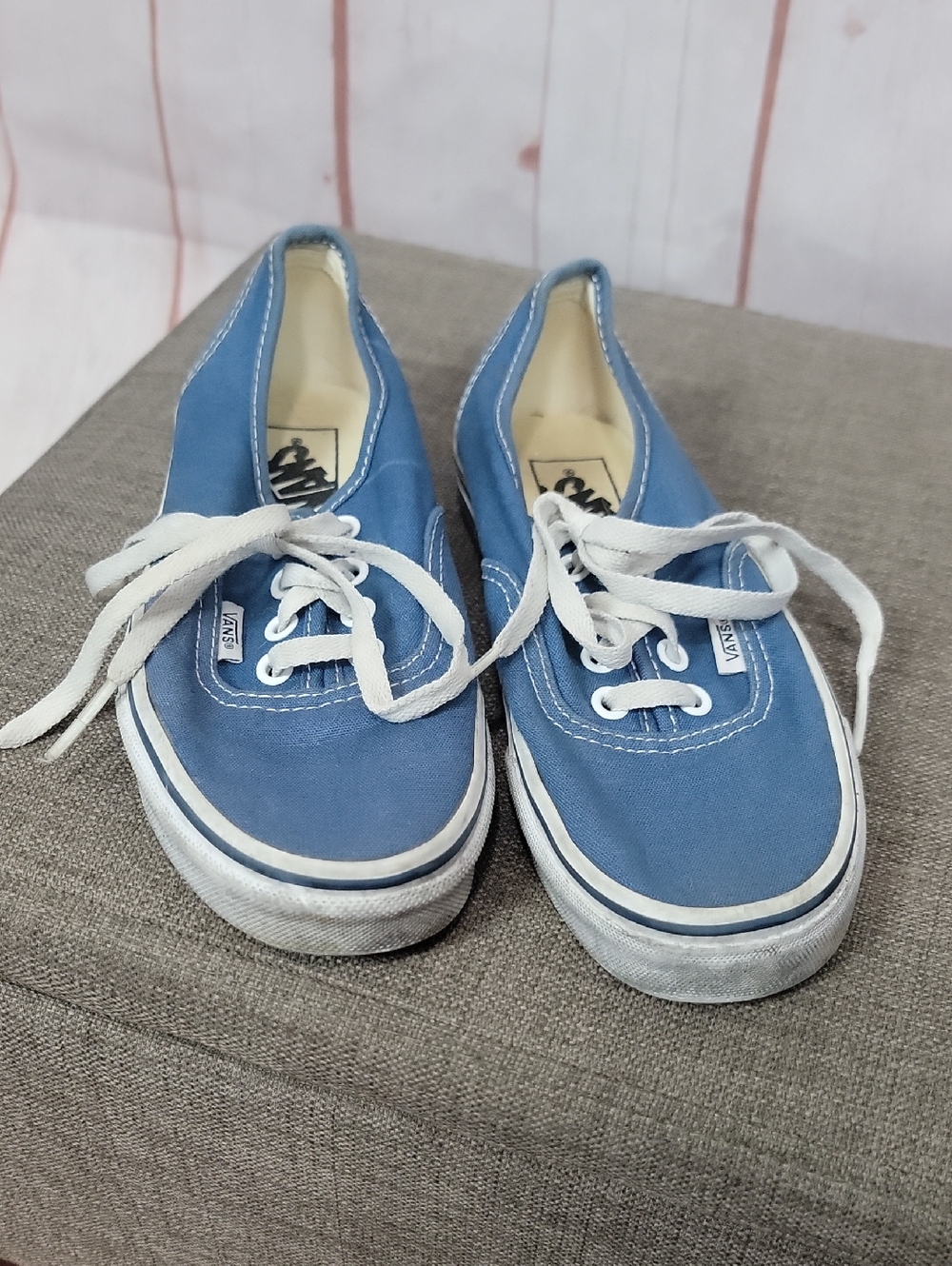 Vans Blue Canvas Low-Top Sneakers with White Accents